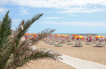 Wall Mural - beach in summer and umbrellas and deck chairs and a palm tree in the Resort