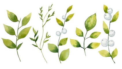 Collection  of green watercolor isolated leaves