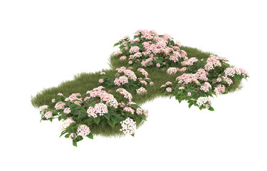 Wall Mural - Field of grass with flowers on transparent background. 3d rendering - illustration