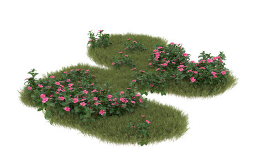 Wall Mural - Field of grass with flowers on transparent background. 3d rendering - illustration