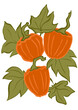 Dynie pomarańczowe z liśćmi, trzy sztuki, rysowane, jesień, pattern, tło, element, powtarzalny, 