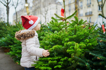 Wall Mural - Happy cheerful preschooler girl on Christmas tree market selecting a tree for New Year and Xmas celebration at home