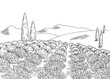 Lavender field flower graphic black white landscape sketch illustration vector 