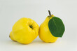 Owoce pigwy z zielonym liściem na białym tle
