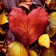 A Computer Generated 3D Illustration Of A Heart Shaped Leaf In An Autumn Leaves Background. A.I. Generated Art.