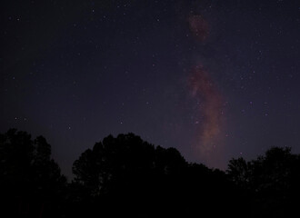 Wall Mural - Milky Way and stars in a North Carolina sky