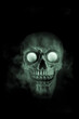 Leinwandbild Motiv Halloween skull