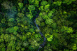 © Austockphoto - river winding through dense rainforest