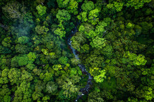 River Winding Through Dense Rainforest