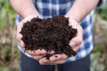 Hand full Of Rich Brown Soil compost. A man holds in dirty hands with humus for planting. Eco farming concept