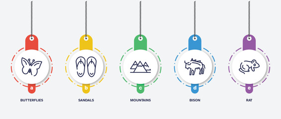 infographic element template with animal head outline icons such as butterflies, sandals, mountains, bison, rat vector.