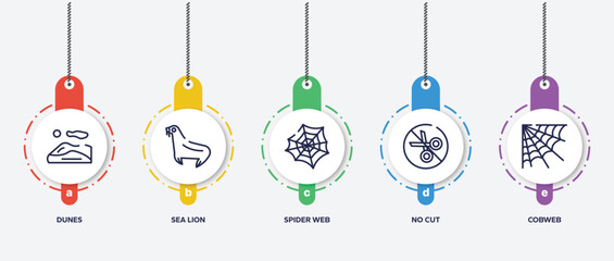 infographic element template with wildlife outline icons such as dunes, sea lion, spider web, no cut, cobweb vector.