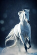 3d illustration of white horse 