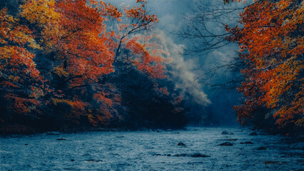 Wall Mural - blue river flowing among the bright yellow trees. the bright colors of autumn. amazing fall.
