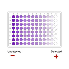 Wall Mural - The detection result of target molecules in 96 well plate that represent Detected or Undetected in purple gradient color