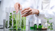 © chokniti - eco skin care beauty products in laboratory development concept, Natural drug research with organic plants and scientific extraction in glassware, Alternative green herb medicine for body health care