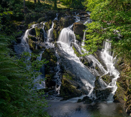 Wall Mural - the Swallow Falls waterfall in Anglesey in northern Wales surrounded by lush green summer vegetation