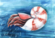 living ammonite. white cuttlefish with red stripes swims in the turquoise sea water. Hand painted watercolor illustration. Colorful light sketchy drawing on white paper background
