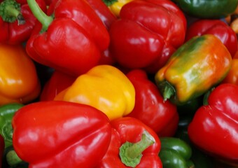 Poster - red fruits of sweet peppers close up