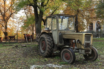 tractor standing on the farm. Scottish cows in the background.
ciągnik stojący w gospodarstwie. Szkockie krowy w tle.