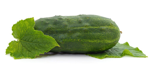 Canvas Print - Green cucumber with leaves.