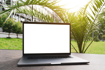 Wall Mural - laptop mockup. Notebook with white screen with palm tree leafs on background. Vacation, traveling and remote work and study concept. Empty copy space, blank screen modern laptop.