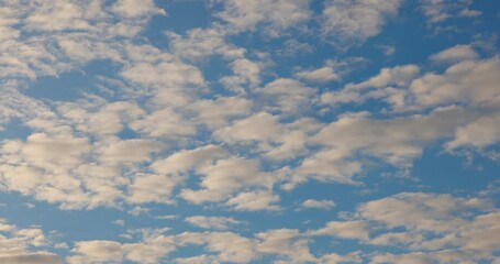 Wall Mural - beautiful blue sky with cumulus fluffy clouds on bright sunny day and flying bird