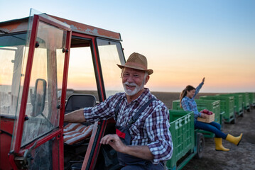 Sticker - Senior farmer and young woman beside tractor and crates after apple harvest