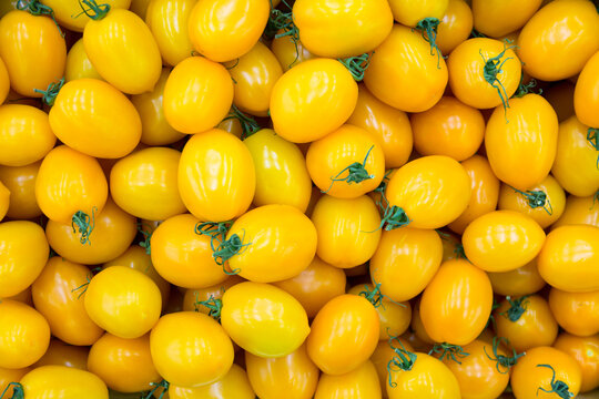 Wall Mural -  - Group of fresh yellow tomatoes as a background