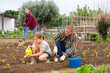© JackF - Teenager girl with her father watering with watering can plants at farm field