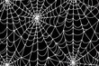 © The 2R Artificiality - Minimal Halloween 2d illustration Seamless Pattern With White Spider Web on Black Background. Elegant Spooky Holiday Texture Perfect for Gift Wrapping, Home Decor and Textiles