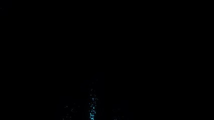 Poster - 4k footage. rain of particles . motion background. fireworks flying down. isolated on black. celebra