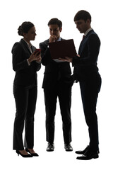 Silhouette of a multinational group having a meeting. Business concept. Transparent background PNG. Clipping photo.