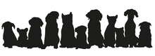 Silhouettes Of Tender And Affectionate Puppies	