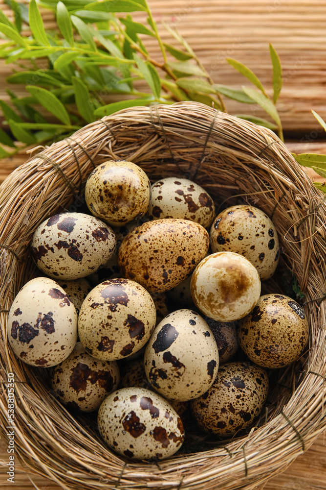 Nest with raw quail eggs on wooden table, closeup