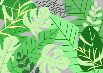 Wall Mural - The tropics. Vector illustration of tropical leaves