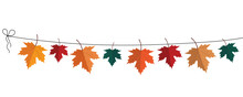 Autumn Decoration With Autumn Leaves, Colorful Leaves
