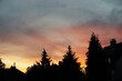 Orange-roter Sonnenaufgang am Himmel hinter hohen grünen Bäumen im Garten vor Wohnhaus am frühen Morgen im Herbst