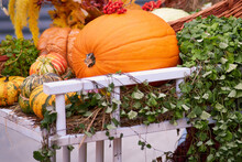 Harvest Festival With Autumn Pumpkins And Vegetables. Sale Of Agricultural Crops On The Outdoor Market After The Holiday