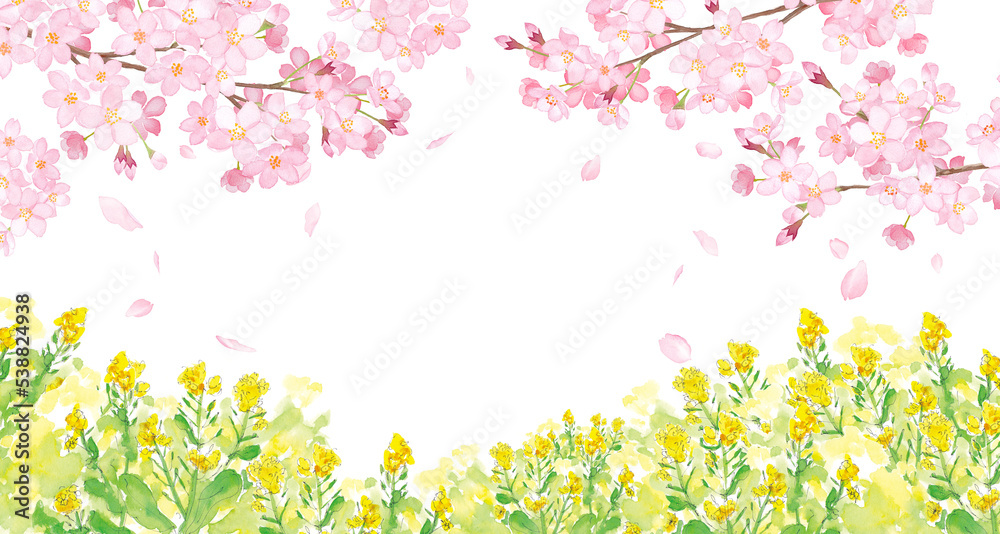 水彩画原画 桜堤と菜の花 | syoumei ｜インテリア絵画 アートの