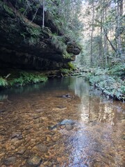 Wall Mural - Greaves Creek on the Grand Canyon Track in the Blue Mountains of New South Wales Australia
