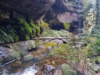 Wall Mural - Greaves Creek on the Grand Canyon Track in the Blue Mountains of New South Wales Australia