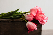 Pink Blooming Don Quichotte Tulips Lying On Top Of Wooden Box