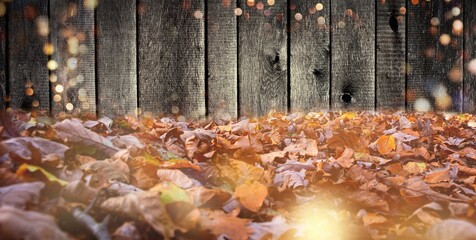 Wall Mural - autumn leaves on the ground in the forest with wooden background wall and magic bokeh lights - autum