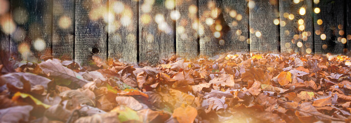 Wall Mural - autumn leaves on the ground with wooden background and magic bokeh lights - autumn background banner