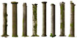set of antique columns, collection of overgrown pillars, isolated on white background 