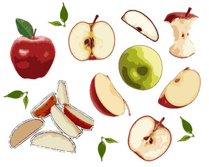 Wall Mural - Set of vector illustrations of whole, sliced, peeled apple fruit isolated on white background.