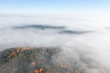 © Mikhail - Autumn forest in the morning fog from a aerial view.