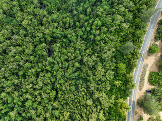 Poster - Aerial view of road seen from drone