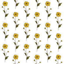 WHITE VECTOR SEAMLESS BACKGROUND WITH YELLOW WILDFLOWERS OF RUDBECKIA